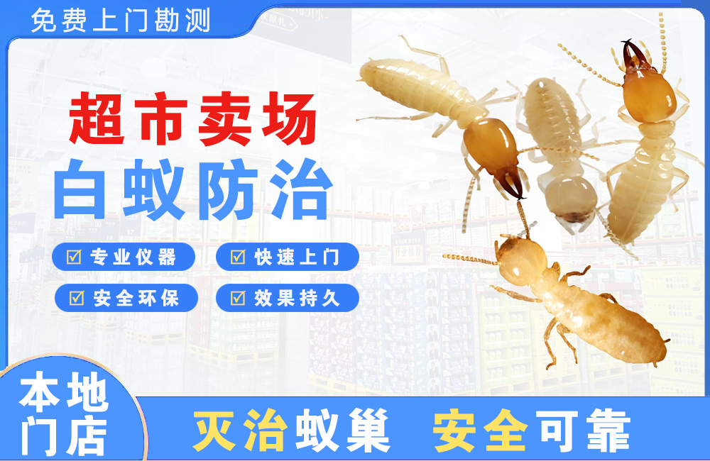 遵义超市卖场白蚁防治