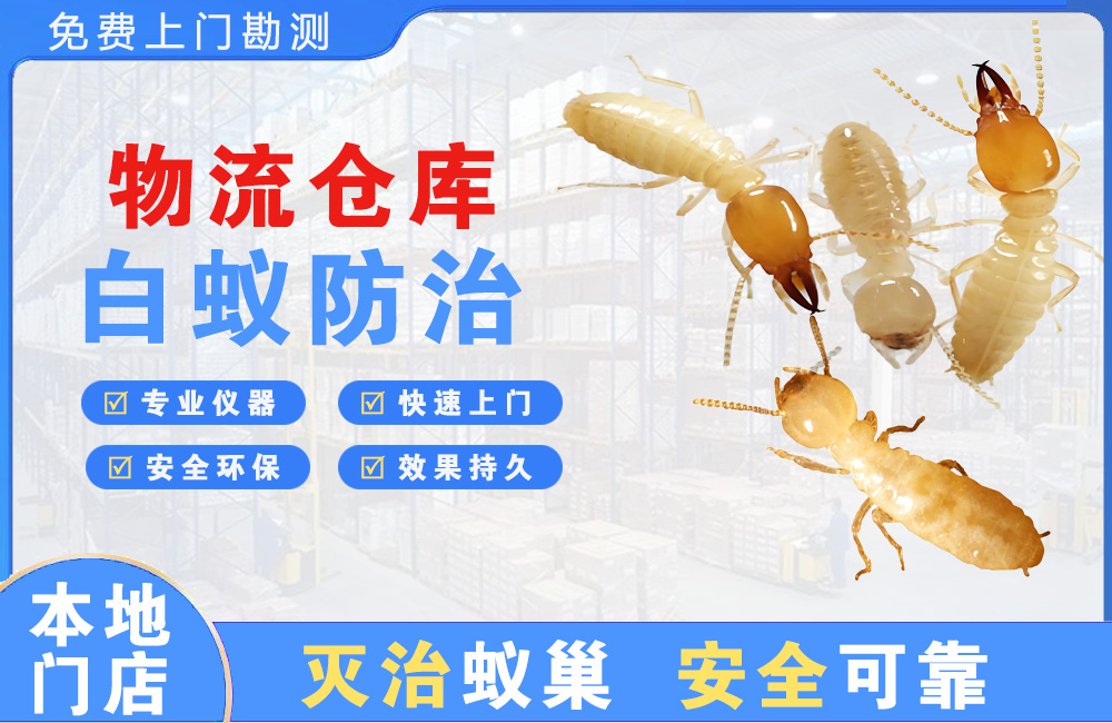 遵义物流仓库白蚁防治