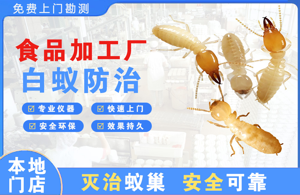 遵义食品加工厂白蚁防治