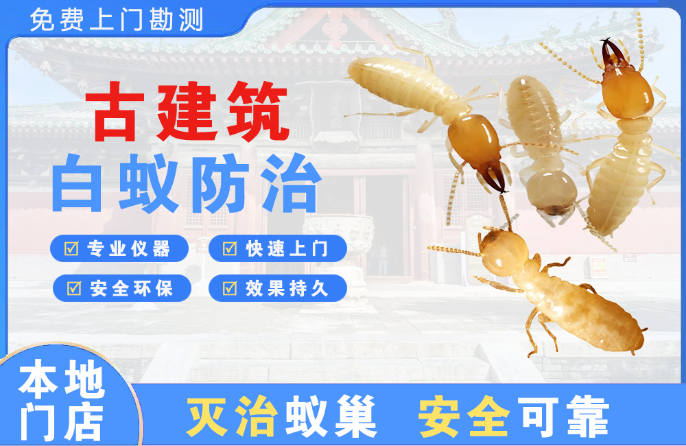 遵义古建筑白蚁防治
