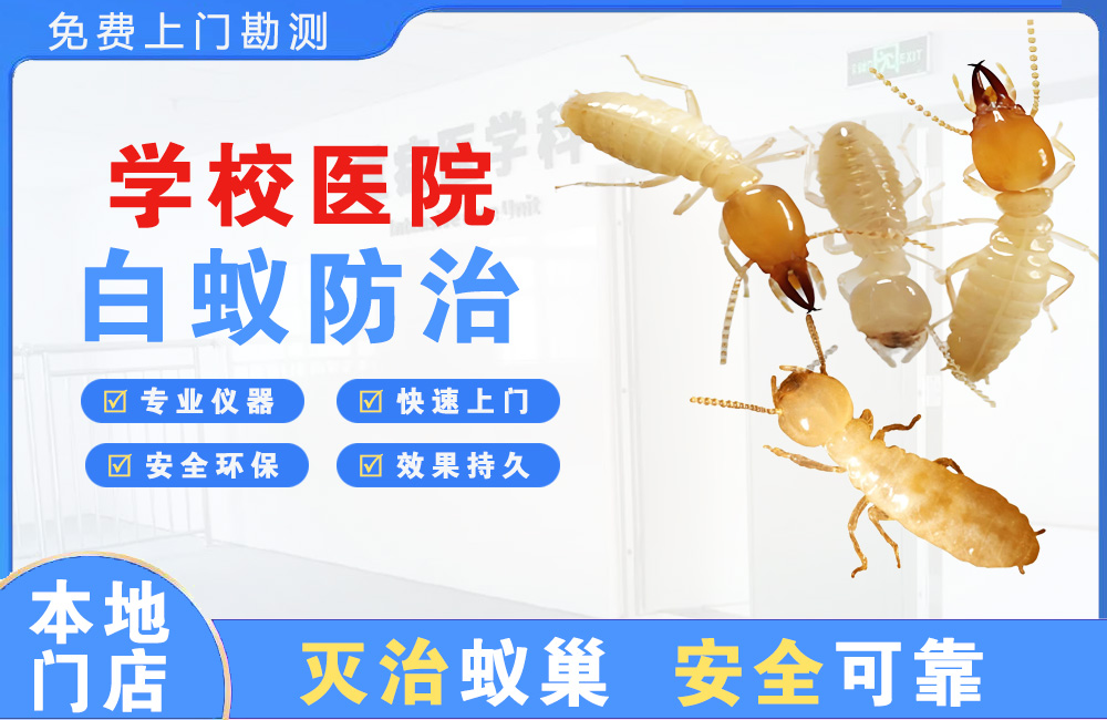 遵义学校医院白蚁防治