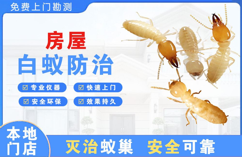 遵义房屋白蚁防治
