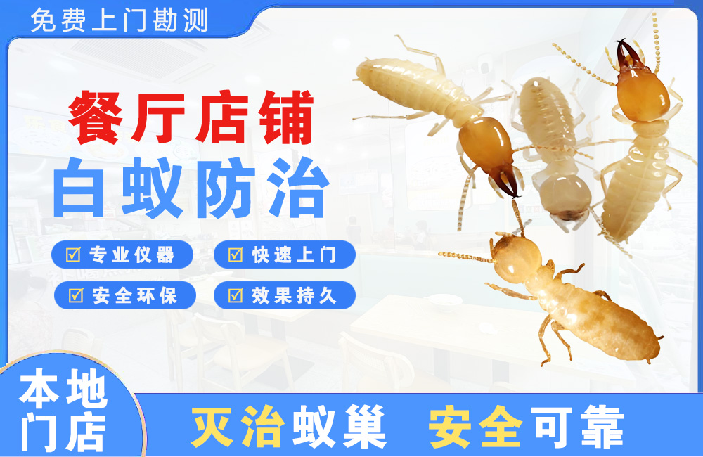 遵义餐厅店铺白蚁防治